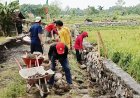 Semangat Pantang Surut, Satgas TMMD Gresik Bersama Warga Kebut Pembangunan TPT di Desa Slempit 
